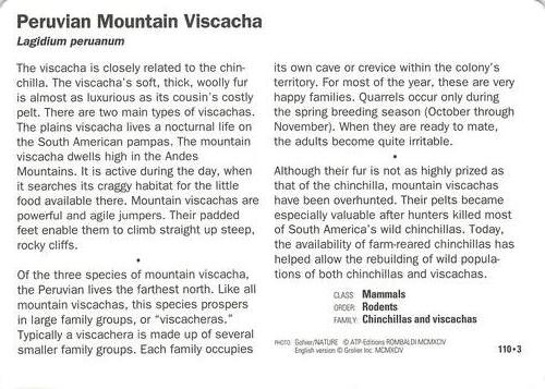 1991-95 Grolier Wildlife Adventure Cards #110.3 Peruvian Mountain Viscacha Back