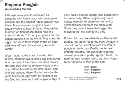 1991-95 Grolier Wildlife Adventure Cards #112.1 Emperor Penguin Back