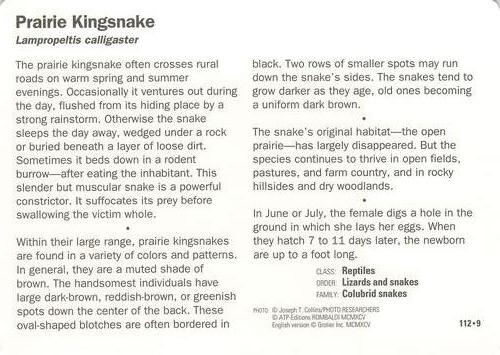 1991-95 Grolier Wildlife Adventure Cards #112.9 Prairie Kingsnake Back