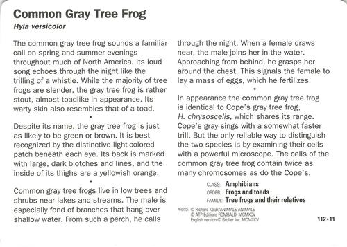 1991-95 Grolier Wildlife Adventure Cards #112.11 Common Gray Tree Frog Back