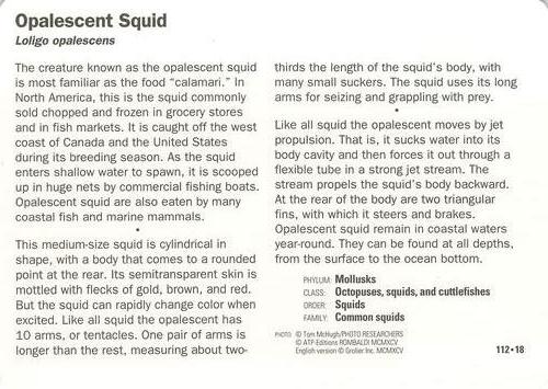1991-95 Grolier Wildlife Adventure Cards #112.18 Opalescent Squid Back