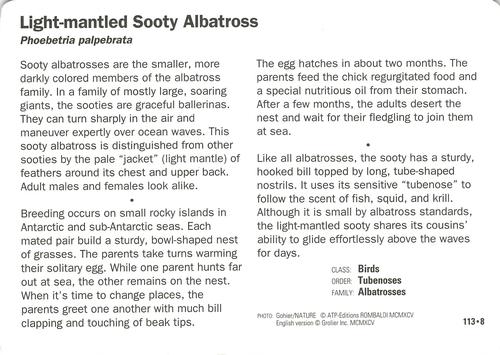 1991-95 Grolier Wildlife Adventure Cards #113.8 Light-mantled Sooty Albatross Back