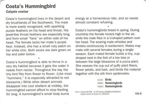1991-95 Grolier Wildlife Adventure Cards #113.9 Costa's Hummingbird Back