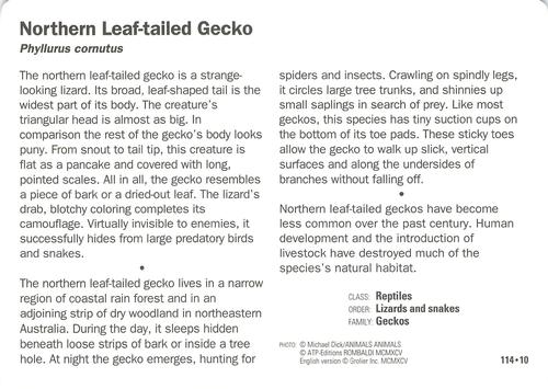1991-95 Grolier Wildlife Adventure Cards #114.10 Northern Leaf-tailed Gecko Back