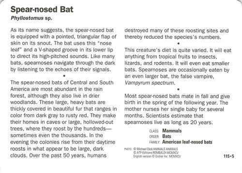 1991-95 Grolier Wildlife Adventure Cards #115.5 Spear-nosed Bat Back