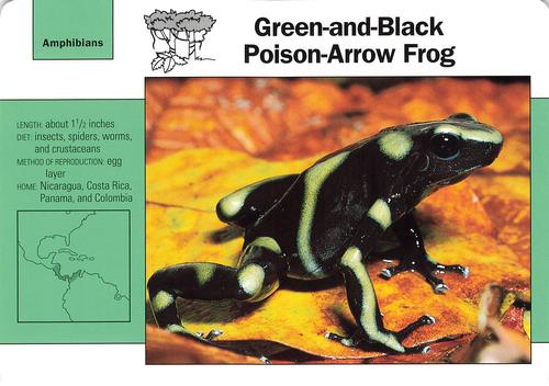 1991-95 Grolier Wildlife Adventure Cards #115.11 Green-and-Black Poison-Arrow Frog Front