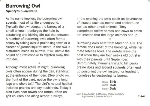 1991-95 Grolier Wildlife Adventure Cards #116.6 Burrowing Owl Back