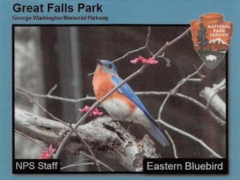 2018 Great Falls Park #NNO Eastern Bluebird Front