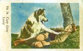 1958 Dutch Gum PA Set #PA78 Gary Gray / Lassie Front