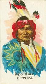 1930 British American Tobacco Indian Chiefs #22 Red Bird Front