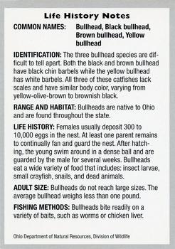 2008 Sport Fishes of Ohio #3 Bullhead Back