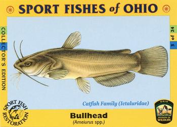 2008 Sport Fishes of Ohio #3 Bullhead Front
