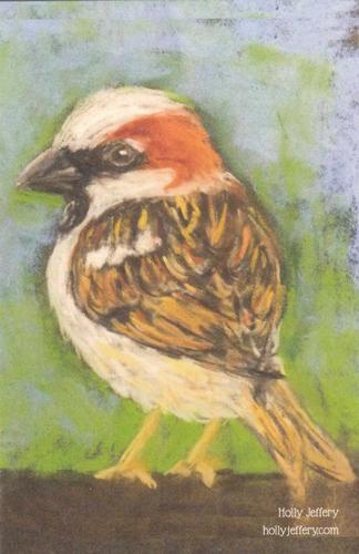 2021 Metchosin Birds #26 House Sparrow Front