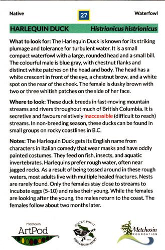 2021 Metchosin Birds #27 Harlequin Duck Back