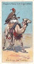 1905 Player's Riders of the World #42 Egyptian on Camel Front