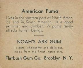 1933 Flatbush Gum Noah's Ark (R100) #NNO American Puma Back