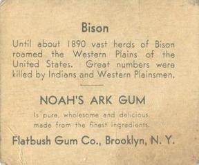 1933 Flatbush Gum Noah's Ark (R100) #NNO Bison Back