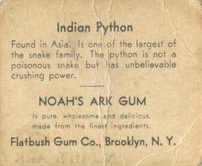 1933 Flatbush Gum Noah's Ark (R100) #NNO Indian Python Back