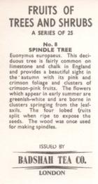 1965 Badshah Tea Fruits of Trees and Shrubs #8 Spindle Tree Back