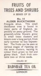 1965 Badshah Tea Fruits of Trees and Shrubs #14 Alder Buckthorn Back
