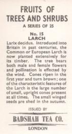 1965 Badshah Tea Fruits of Trees and Shrubs #15 Larch Back