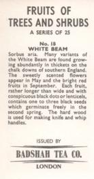 1965 Badshah Tea Fruits of Trees and Shrubs #18 White Beam Back