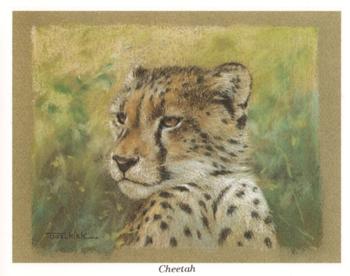 1993 CCC Ltd Wild Cats #NNO Cheetah Front