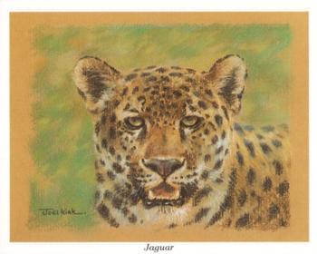 1993 CCC Ltd Wild Cats #NNO Jaguar Front