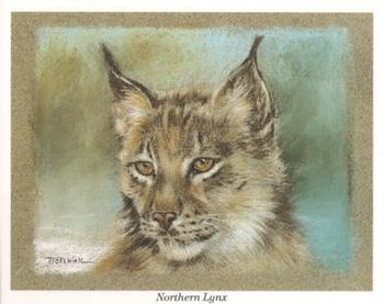 1993 CCC Ltd Wild Cats #NNO Lynx Front