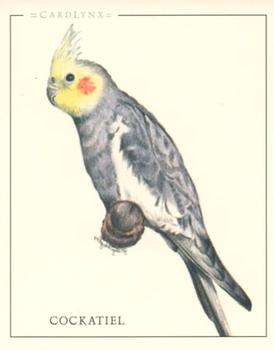 2004 Cardlynx Parrots #2 Cockatiel Front