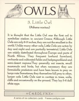 2004 Cardlynx Owls #3 Little Owl Back
