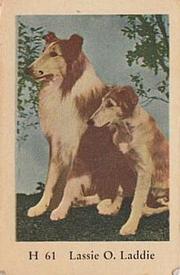1961 Dutch Gum H Set #H61 Lassie / Laddie Front