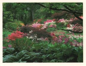 1988 Kellogg's Gardens to Visit #2 Exbury Gardens, Hampshire Front