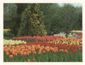 1988 Kellogg's Gardens to Visit #10 Springfields, Lincolnshire Front