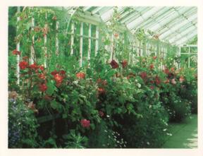 1988 Kellogg's Gardens to Visit #12 Wallington, Northumberland Front