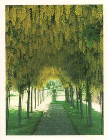 1988 Kellogg's Gardens to Visit #16 The Wakes Garden, Hampshire Front