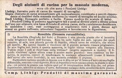 1933 Liebig Piante Carnivore (Carnivorous Plants)(Italian Text)(F1298, S1282) #2 Rosolida Back