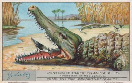 1933 Liebig L'Entr'aide Parmi Les Animaux (Animal Symbiosis)(French Text)(F1277, S1283) #5 Crocodile et Hoploterus Front