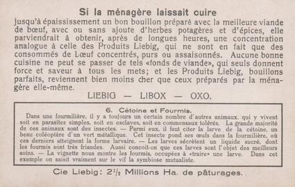 1933 Liebig L'Entr'aide Parmi Les Animaux (Animal Symbiosis)(French Text)(F1277, S1283) #6 Cetine et Fourmis Back