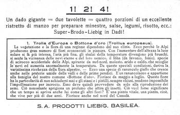 1936 Liebig Fiori Delle Alpi (Alpine Flowers)(Italian Text)(F1349, S1335) #1 Trolla d'Europa o Bottone d'oro Back