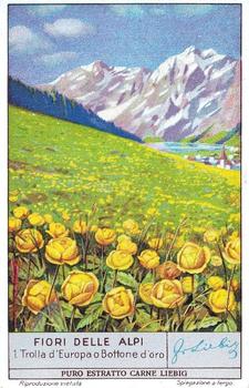 1936 Liebig Fiori Delle Alpi (Alpine Flowers)(Italian Text)(F1349, S1335) #1 Trolla d'Europa o Bottone d'oro Front