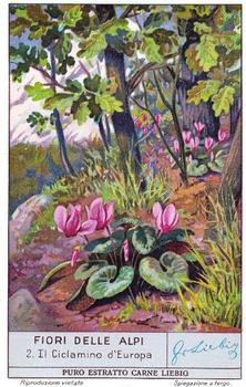 1936 Liebig Fiori Delle Alpi (Alpine Flowers)(Italian Text)(F1349, S1335) #2 Il Ciclamino d'Europa Front