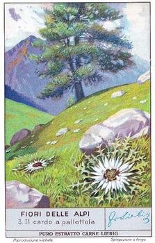 1936 Liebig Fiori Delle Alpi (Alpine Flowers)(Italian Text)(F1349, S1335) #3 Il cardo a pallottoia Front
