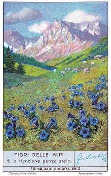1936 Liebig Fiori Delle Alpi (Alpine Flowers)(Italian Text)(F1349, S1335) #4 La Genziana senza stelo Front