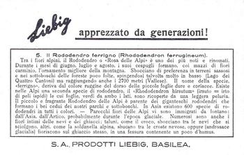 1936 Liebig Fiori Delle Alpi (Alpine Flowers)(Italian Text)(F1349, S1335) #5 Il Rododendro ferrigna Back
