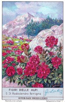 1936 Liebig Fiori Delle Alpi (Alpine Flowers)(Italian Text)(F1349, S1335) #5 Il Rododendro ferrigna Front