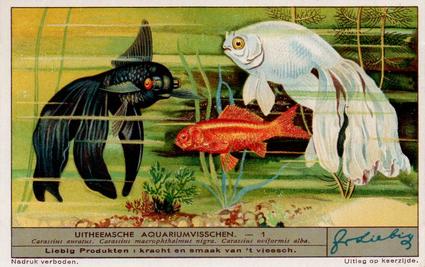 1936 Liebig Uitheemsche Aquariumvisschen (Exotic Aquarium Fish)(Dutch Text)(F1334, S1339) #1 Carassius auratus, Carassius macrophthalmus nigra, Carassius oviformis alba Front