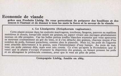 1936 Liebig Graines Au Vent (Seeds Sown by the Wind)(French Text)(F1339, S1344) #2 La Linaigrette (Eriophorum vaginatum) Back