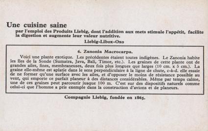 1936 Liebig Graines Au Vent (Seeds Sown by the Wind)(French Text)(F1339, S1344) #6 Zanonia Macrocarpa Back