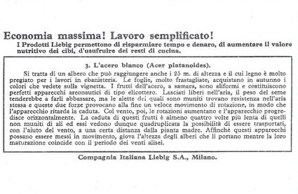 1936 Liebig Semi Al Vento (Seeds Sown by the Wind)(Italian Text)(F1339, S1344) #3 L'acero blanco (Acer platanoides) Back
